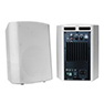 2-Way Indoor Powered Speaker