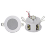 Ceiling Speaker