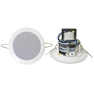 Ceiling Speaker