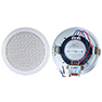 Ceiling Speaker