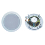 Ceiling Speaker