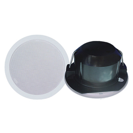 Ceiling Speaker with Plastic Cover