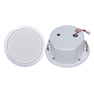 Ceiling Speaker with Iron Cover