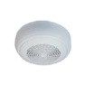 Surface Mount Ceiling Speaker