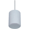 Pendent Speaker