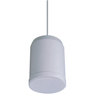 Pendent Speaker