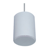 Pendent Speaker