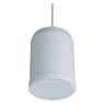 Pendent Speaker
