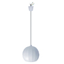 Pendent Speaker