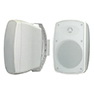 All-weather Cabinet Speaker
