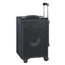 Portable Wireless Amplifier