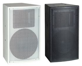 Professional Meeting Speaker